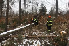 WhatsApp-Image-2020-02-29-at-15.43.31