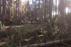 20190330-11